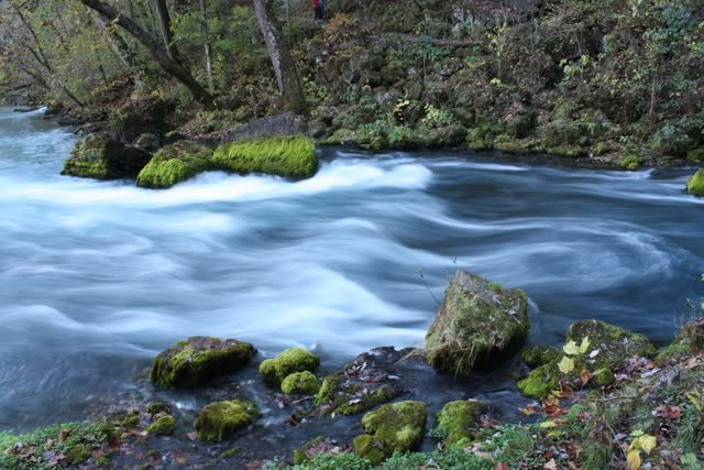 IMAGE: http://i30.photobucket.com/albums/c349/jarrelldx/IMG_0644.jpg