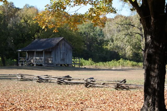 IMAGE: http://i30.photobucket.com/albums/c349/jarrelldx/IMG_0681.jpg