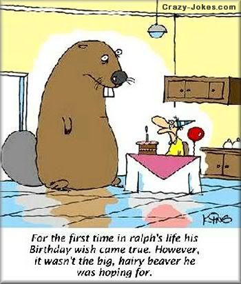 Beaver wish