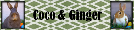 photo de37d081-c02c-4bec-b17c-eabb97f8bbda_zps09b9024a.png