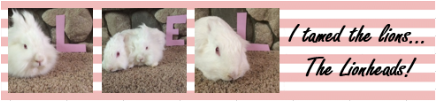 photo siggy resize_zpskwkpwcl2.png