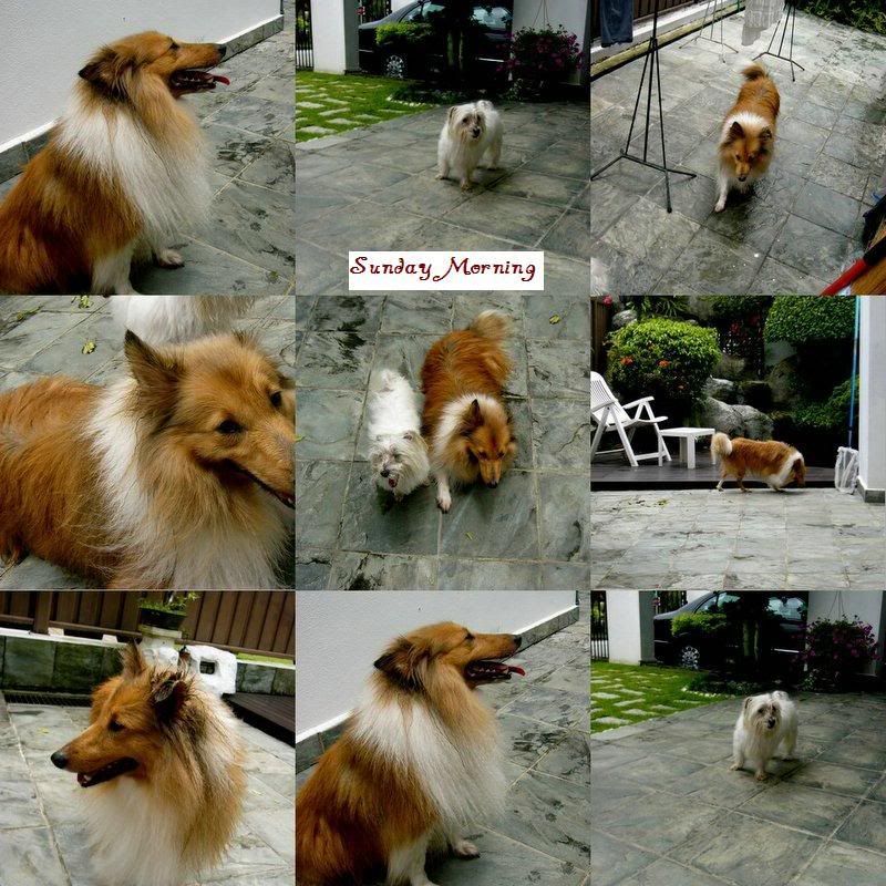 Photobucket - Video and Image Hosting