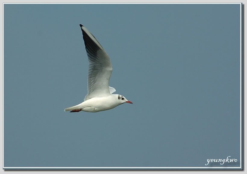 Image hosting by Photobucket