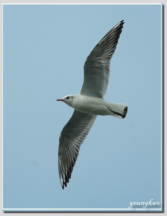 Image hosting by Photobucket