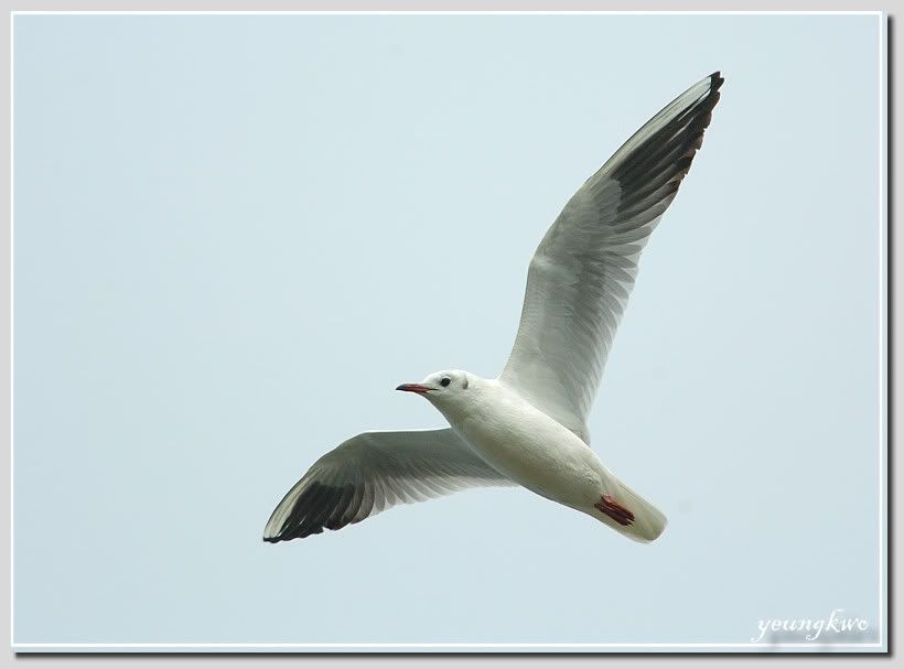 Image hosting by Photobucket