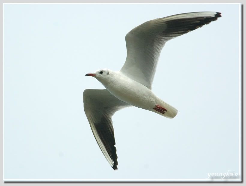 Image hosting by Photobucket