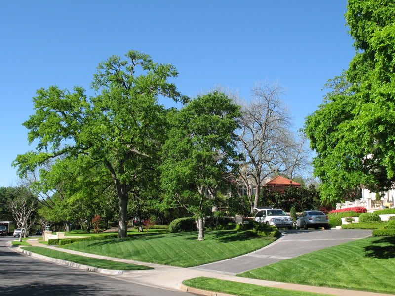 WorldClass Dallas (56K warning) SkyscraperCity Forum