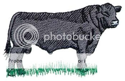 Black Angus Hat Price Embroidery Farm Ranch Cattle
