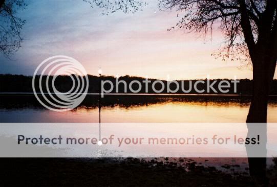 Photo Sharing and Video Hosting at Photobucket