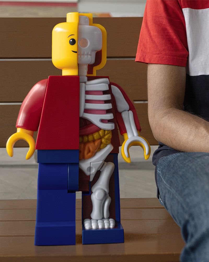 Mighty Jaxx, Jason Freeny, SpankyStokes, Lego, Designer Toy (Art Toy), Artist, Mighty Jaxx presents: Supersized Micro Anatomic (Junior) by Jason Freeny