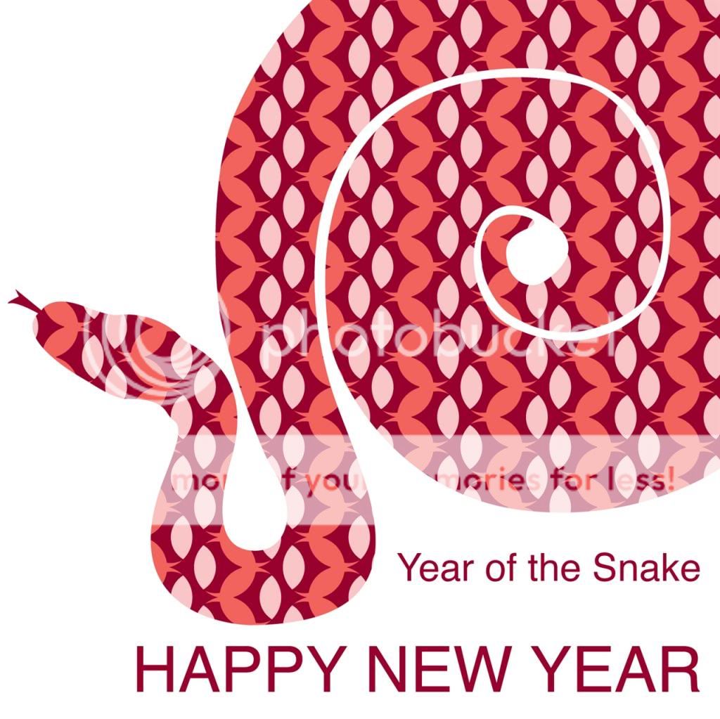 Happy-New-Year-of-snake_zpse569be9b.jpg