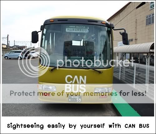 canbus5.jpg picture by rambomom
