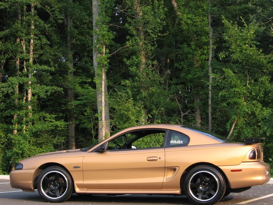 Black/ polished 03 Cobras and tires | Ford Mustang Forums