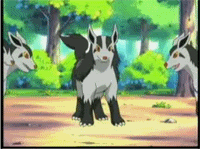 [PokeCommunity.com] ~~~/~Poochyena and Mightyena club!~~~/~