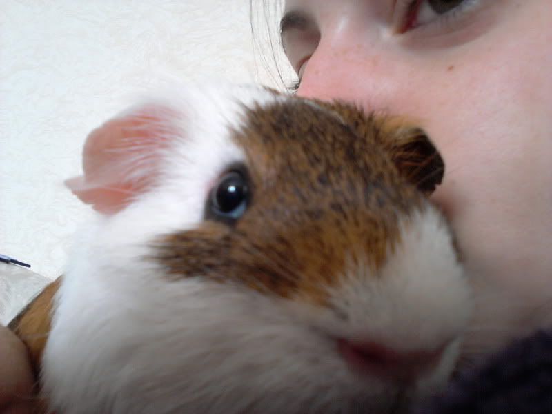 2011-08-07083613.jpg