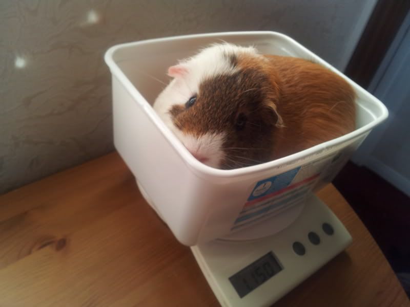 2011-12-17110251.jpg