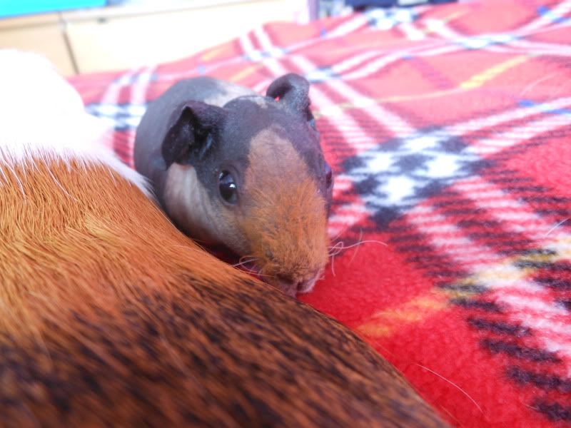 DSCN1054.jpg