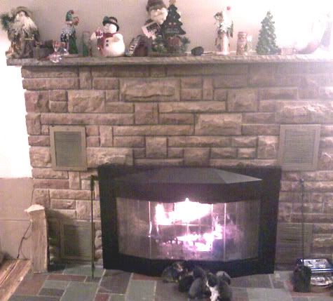 Fireplace Door Gap Question Arboristsite Com