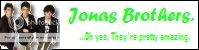 -Official Jonas Brothers Fans Guild- banner