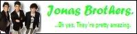 -Official Jonas Brothers Fans Guild- banner