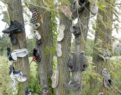 shoetree