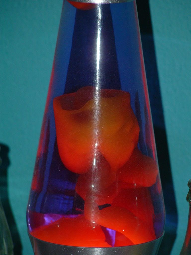 DSCF0038.jpg
